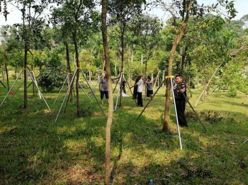 小区绿化养护工程过程中所需的材料