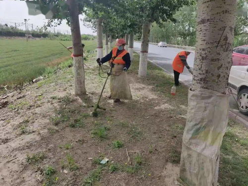 养护的是公路 温暖的是民心